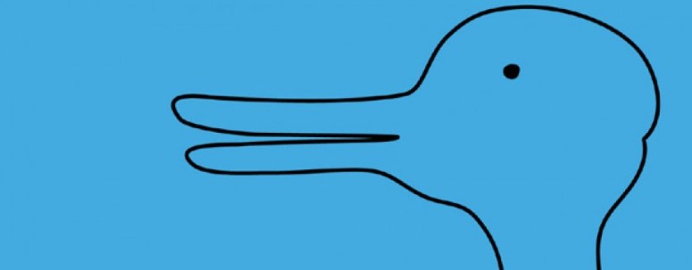 Forestiller billedet en and eller en kanin?